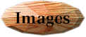 Here you can see more images by or about this person